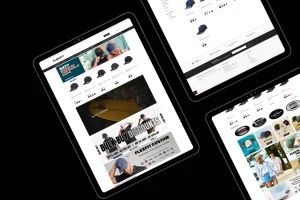 Flex Fit website